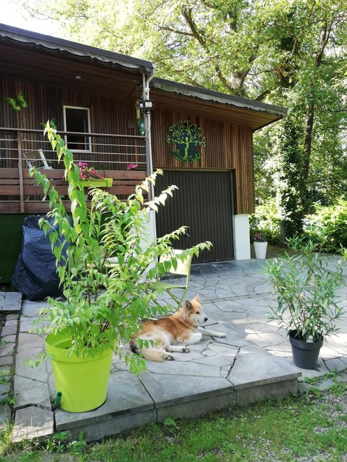 Titi'S Chalet Durbuy Extérieur photo